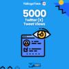 5000 Twitter (X) Tweet Views